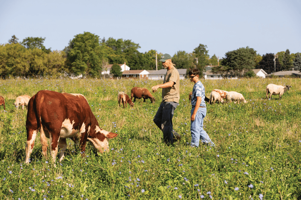 Farm360
