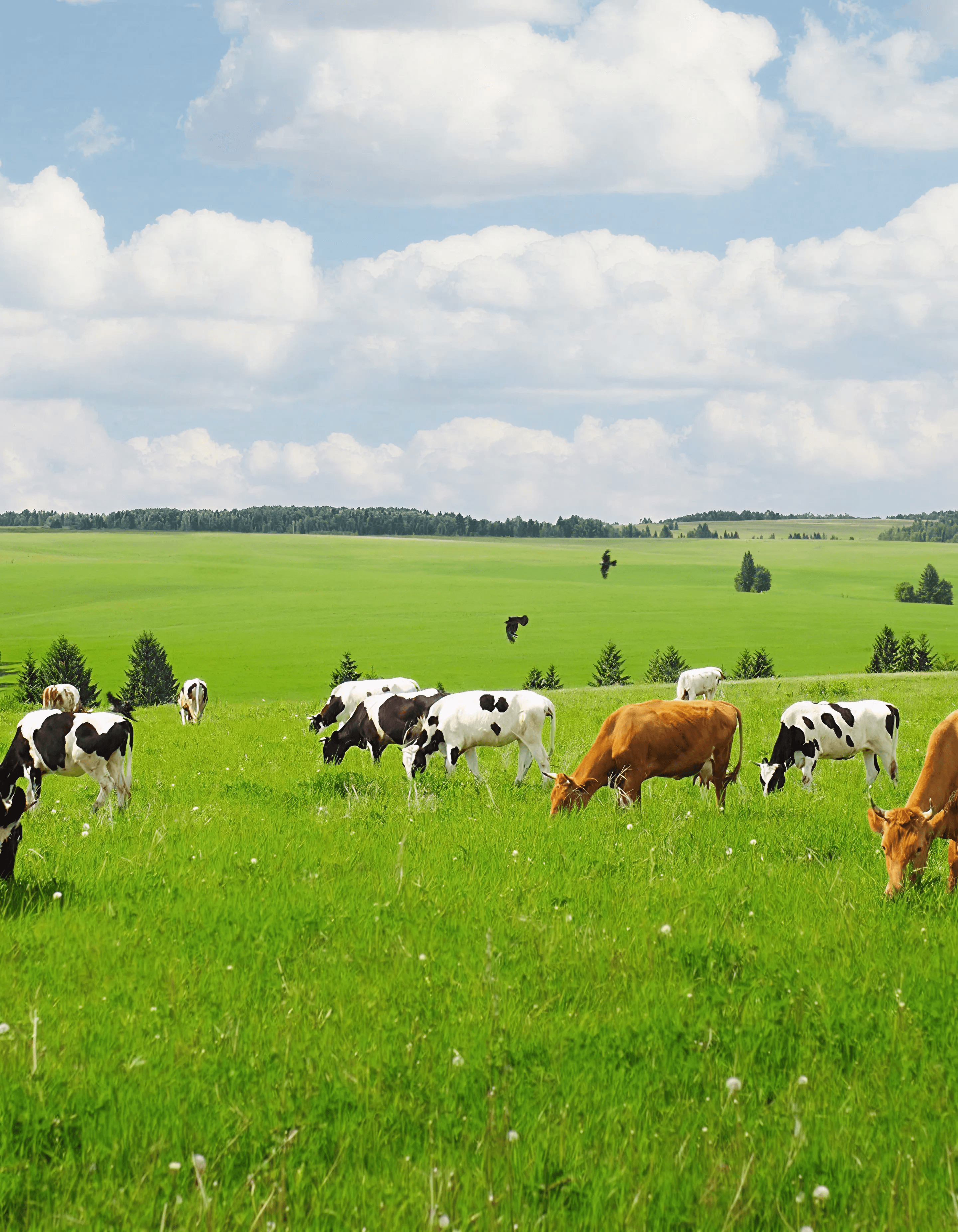 Farm360