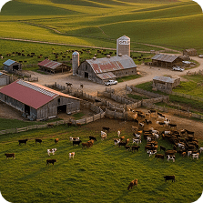 Farma360